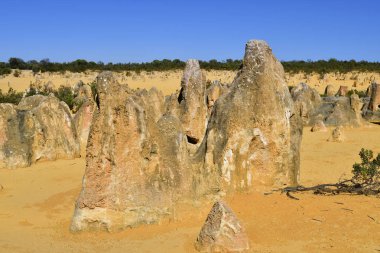 Avustralya, Wa, Pinnacles, 