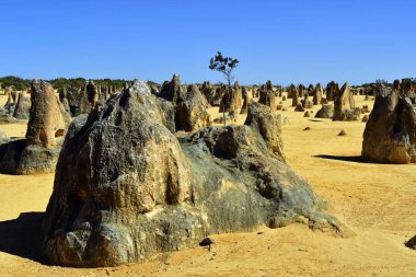 Avustralya, Wa, Pinnacles, 