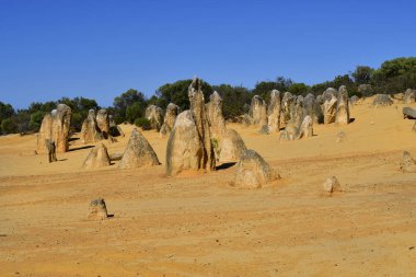 Avustralya, Wa, Nambung Milli Parkı'nda Pinnacles, 