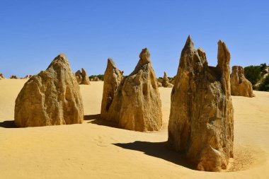 Avustralya, Wa, Pinnacles, 