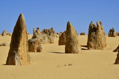 Avustralya, Wa, Pinnacles, 