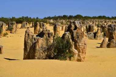 Avustralya, Wa, Nambung Milli Parkı'nda Pinnacles
