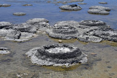 Avustralya, Wa, değişeceği