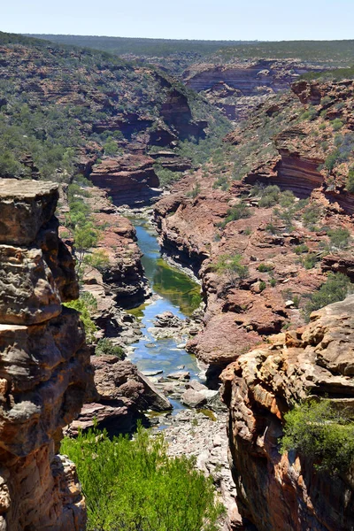 Np de Kalbarri Wa, Australia —  Fotos de Stock