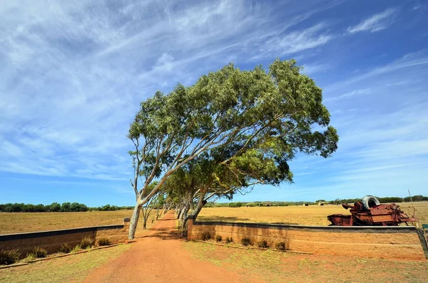 オーストラリア、西オーストラリア州の自然 — ストック写真