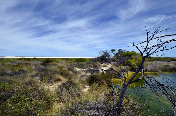 Australia, Western Australia, nature