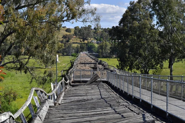 Australien, Nsw, Täby — Stockfoto