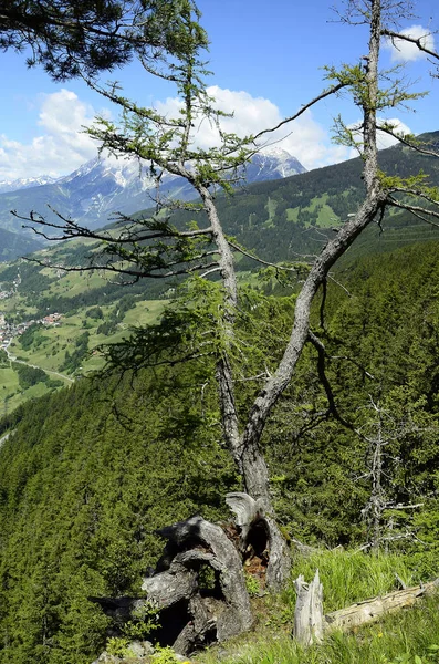 Austria, Tirol, naturaleza —  Fotos de Stock