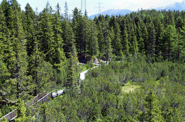 Австрия, Тироль, Природа
