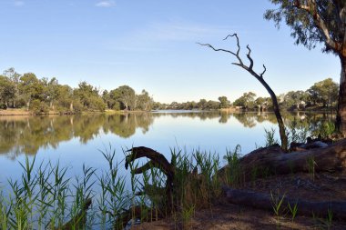 Avustralya, Nsw, Murray Nehri