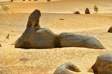 Avustralya, Wa, Pinnacles, 