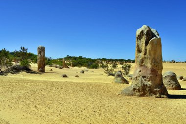 Avustralya, Wa, Pinnacles, 