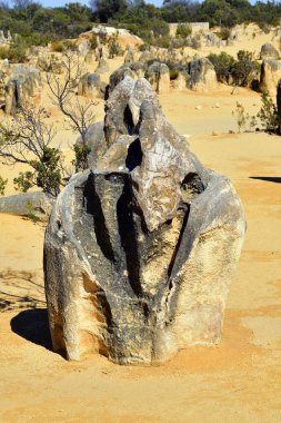 Avustralya, Wa, Pinnacles, 