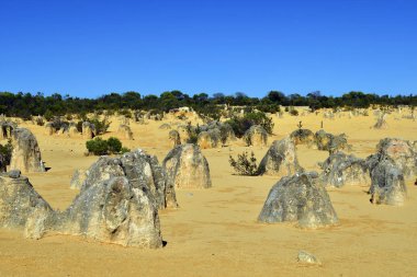 Avustralya, Wa, Pinnacles, 