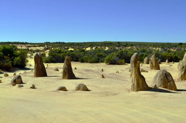 Avustralya, Wa, Pinnacles, 