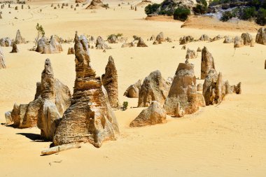 Avustralya, Wa, Pinnacles, 