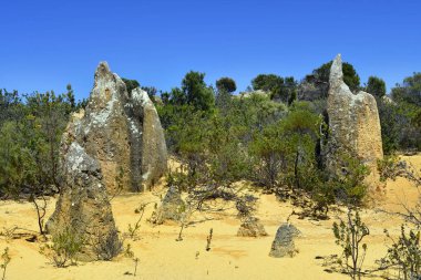 Avustralya, Wa, Pinnacles, 