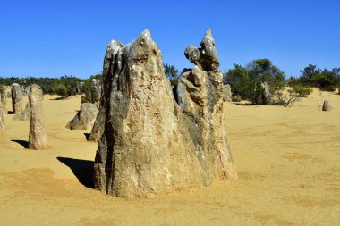 Avustralya, Wa, Pinnacles, 