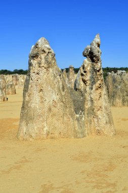 Avustralya, Wa, Pinnacles, 