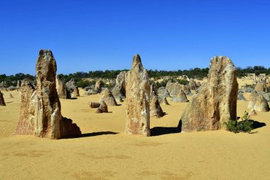 Avustralya, Wa, Pinnacles, 