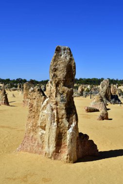 Avustralya, Wa, Pinnacles, 