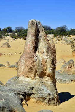 Avustralya, Wa, Pinnacles, 