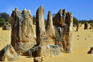 Avustralya, Wa, Pinnacles, 