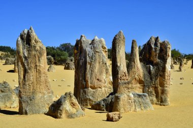 Avustralya, Wa, Pinnacles, 