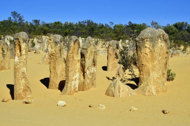Avustralya, Wa, Pinnacles, 