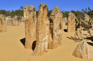 Avustralya, Wa, Pinnacles, 