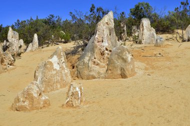 Avustralya, Wa, Pinnacles, 