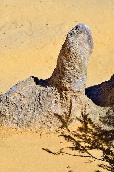 Australia, WA, Pinnacles, — Fotografie, imagine de stoc