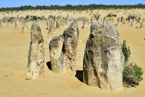 Australia, WA, Pinnacles, — Stock Photo, Image