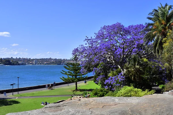 Sydney Nsw, Australia — Zdjęcie stockowe