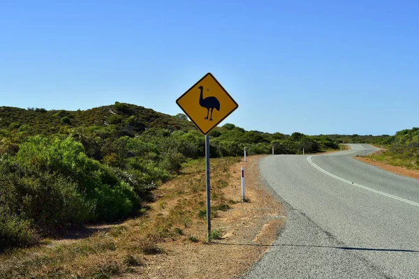 Austrálie, Wa, zoologie — Stock fotografie