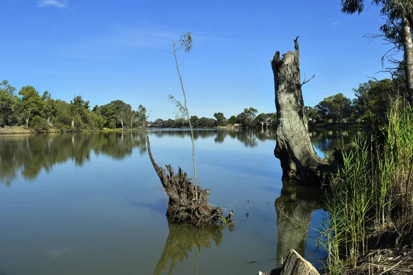 Australië, Nsw, Murray River — Stockfoto