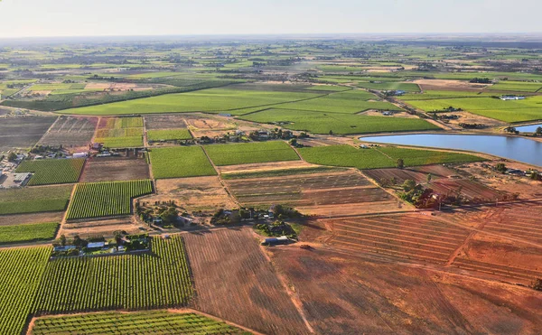 Australien, nsw, Landwirtschaft — Stockfoto