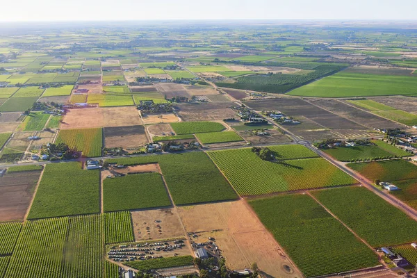 Australien, nsw, Landwirtschaft — Stockfoto