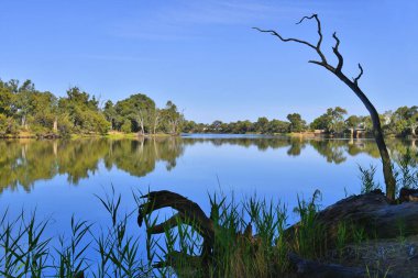 Avustralya, Nsw, Curlwaa, Murray Nehri