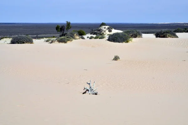 Australia, Mungo Park Narodowy — Zdjęcie stockowe