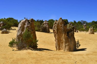 Avustralya, Wa, Pinnacles, 