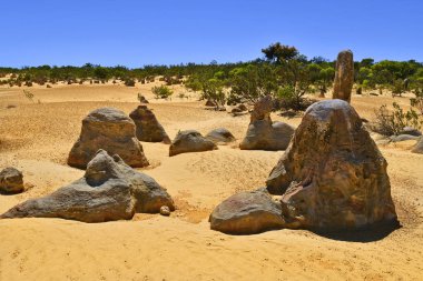 Avustralya, Wa, Pinnacles, 
