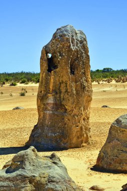 Avustralya, Wa, Pinnacles, 