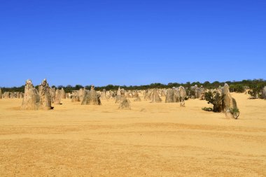 Avustralya, Wa, Pinnacles, 