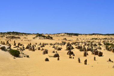 Avustralya, Wa, Pinnacles, 