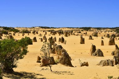 Avustralya, Wa, Pinnacles, 