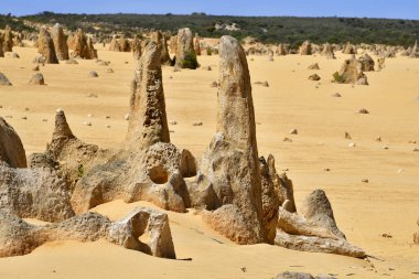 Avustralya, Wa, Pinnacles, 