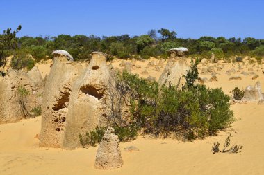 Avustralya, Wa, Pinnacles, 