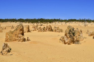 Avustralya, Wa, Pinnacles, 