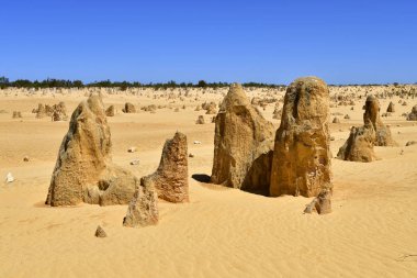 Avustralya, Wa, Pinnacles, 